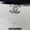 Chanel 19 Shiny Lambskin Wallet On Chain WOC Bag AP3267 White/Silver 2023