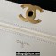 Chanel 19 Shiny Lambskin Wallet On Chain WOC Bag AP3267 White/Gold 2023