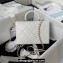 Chanel Quilted Shiny Calfskin & Gold-Tone Metal Small box Bag AS4470 White 2023