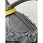 Goyard Saint Jeanne PM Bowling Bag Gray