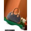 Goyard Saint Jeanne PM Bowling Bag Brown