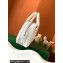 Goyard Saint Jeanne PM Bowling Bag White