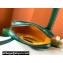 Goyard Yona PM Shoulder bag Green