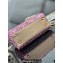 Dior Mini Lady Dior Bag in Metallic Calfskin and Satin withRose Des Vents Resin Pearl Embroidery
