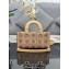 Dior Small Lady D-Joy Bag in Beige Cannage Cotton with Micropearl Embroidery