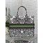 Dior Large Book Tote Bag in White and Green Butterfly Around The World Embroidery