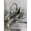 Dior Large Book Tote Bag in White and Green Butterfly Around The World Embroidery