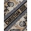 Dior Large Book Tote Bag in Beige Multicolor Butterfly Bandana Embroidery