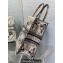 Dior Large Book Tote Bag in Beige Multicolor Butterfly Bandana Embroidery