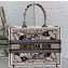 Dior Medium Book Tote Bag in Beige Multicolor Butterfly Bandana Embroidery