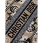 Dior Medium Book Tote Bag in Beige Multicolor Butterfly Bandana Embroidery