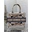 Dior Medium Book Tote Bag in Beige Multicolor Butterfly Bandana Embroidery