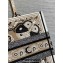 Dior Medium Book Tote Bag in Beige Multicolor Butterfly Bandana Embroidery