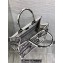 Dior Medium Book Tote Bag in Black and White Butterfly Bandana Embroidery