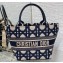 Dior Tote Bag In Beige and Blue Macrocannage Embroidery 2024