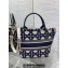Dior Tote Bag In Beige and Blue Macrocannage Embroidery 2024
