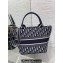 Dior Tote Bag In Blue and Beige Dior Oblique Embroidery 2024