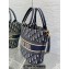 Dior Tote Bag In Blue and Beige Dior Oblique Embroidery 2024