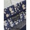 Dior Tote Bag In Blue and Beige Dior Oblique Embroidery 2024