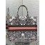Dior Large Book Tote Bag in White and Pastel Pink Butterfly Around The World Embroidery