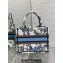 Dior Small Book Tote Bag in White and Pastel Midnight Blue Toile de Jouy Mexico Embroidery