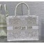 Dior Medium Book Tote Bag in Gold-tone and White Butterfly Around The World Embroidery