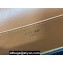 Celine CLUTCH ON STRAP TABOU Bag in Triomphe canvas and calfskin Tan
