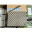 Gucci Pouch Bag with GG detail 768255 Beige/Green