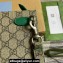 Gucci Pouch Bag with GG detail 768255 Beige/Green