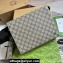 Gucci Pouch Bag with GG detail 768255 Beige/Green