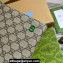 Gucci Pouch Bag with GG detail 768255 Beige/Green