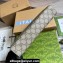 Gucci Pouch Bag with GG detail 768255 Beige/Green