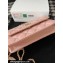Chanel Mini Flap Bag with Flower Top Handle A96034 Pink 2024