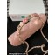 Chanel Mini Flap Bag with Flower Top Handle A96034 Pink 2024