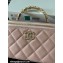 Chanel Small Vanity Case Bag with Flower Top Handle A96035 Pink 2024
