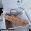 Chanel Shearling Flap Bag AS4468 Brown 2024