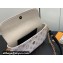 Louis Vuitton Monogram canvas Wallet on Chain Ivy Bag M83091 White 2024