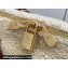 Louis Vuitton LV Ski Shearling Speedy Bandoulière 25 Bag M23468 Cream/Brown 2024