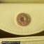Chanel Grained Calfskin Chain Shoulder Bag AS4612 Yellow 2024