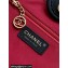 Chanel Calfskin & Gold-Tone Metal Small Shopping Tote Bag AS3257 Black 2024
