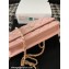 Chanel Small Flap Bag with Flower Top Handle A96033 Pink 2024