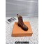 Louis Vuitton Heel 6cm LV Record Ranger Boots in Glazed calf leather Brown 2024