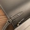 Goyard Varenne Continental Wallet with Strap Bag Gray