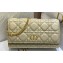 Dior Caro Pouch Bag in Beige Soft Cannage Calfskin 2024