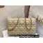 Dior Caro Pouch Bag in Beige Soft Cannage Calfskin 2024