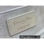 Dior Small 30 Montaigne Avenue Bag in Box Calfskin White 2024