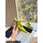 Prada Heel 9cm Satin Mules with Strap Green Spring 2024