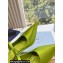 Prada Heel 9cm Satin Mules with Strap Green Spring 2024
