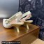 Dior Heel 6.5cm J'Adior Slingback Pumps Pastel Midnight Blue Multicolor Embroidered Cotton with Toile de Jouy Mexico Motif 2024