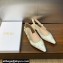 Dior J'Adior Slingback Ballerina Flats in White and Gold-Tone Toile de Jouy Mexico Embroidered Cotton with Metallic Thread 2024
